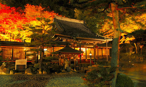 Top 7 Central Japan Areas To See Autumn Leaves Centrip Japan