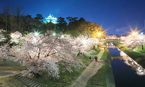 21日本中部賞櫻 日本人最想推薦你的7大景點 Centrip Japan