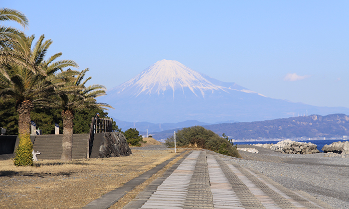 看海 嗑海鮮 賞富士山 靜岡縣御前崎的一日自駕行程 名古屋出發自駕行程 Centrip Japan