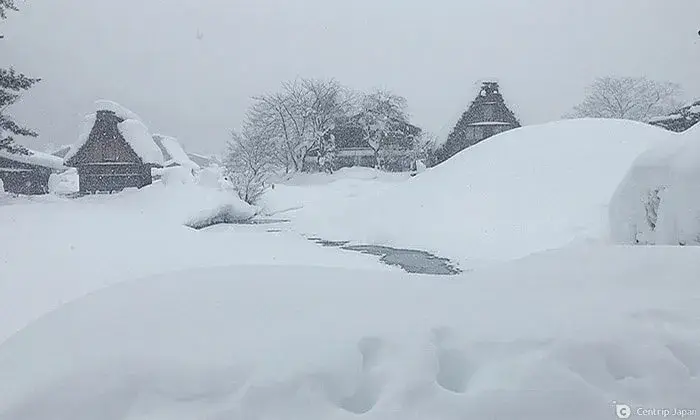 2023年最新白川鄉合掌村點燈與賞雪攻略| Centrip Japan