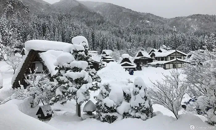 2022年最新白川乡合掌村点灯与赏雪攻略| Centrip Japan
