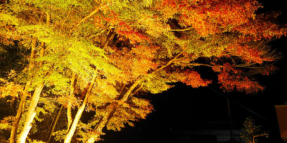 鳳來寺山 紅葉