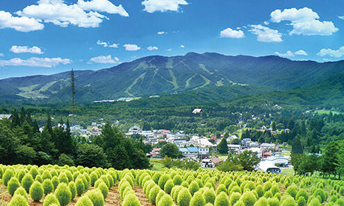 The Chubu Region is an Area Full of Driveable Locations! | Centrip JAPAN