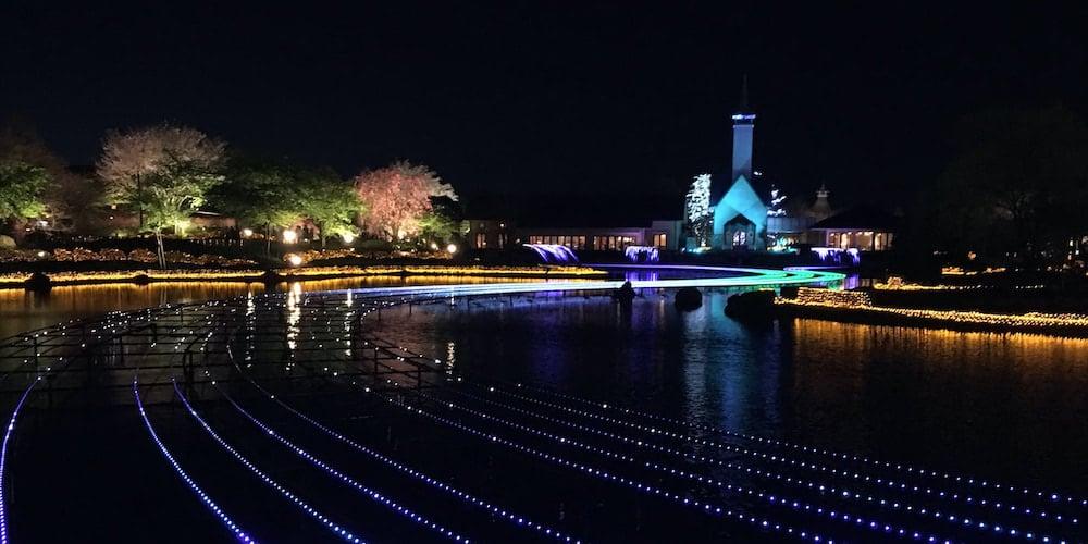 Beautifully lit pond at night