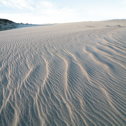 中田島 CdG JUNYA WATANABE MAN×SAINT JAMES(コムデギャルソンジュンヤ