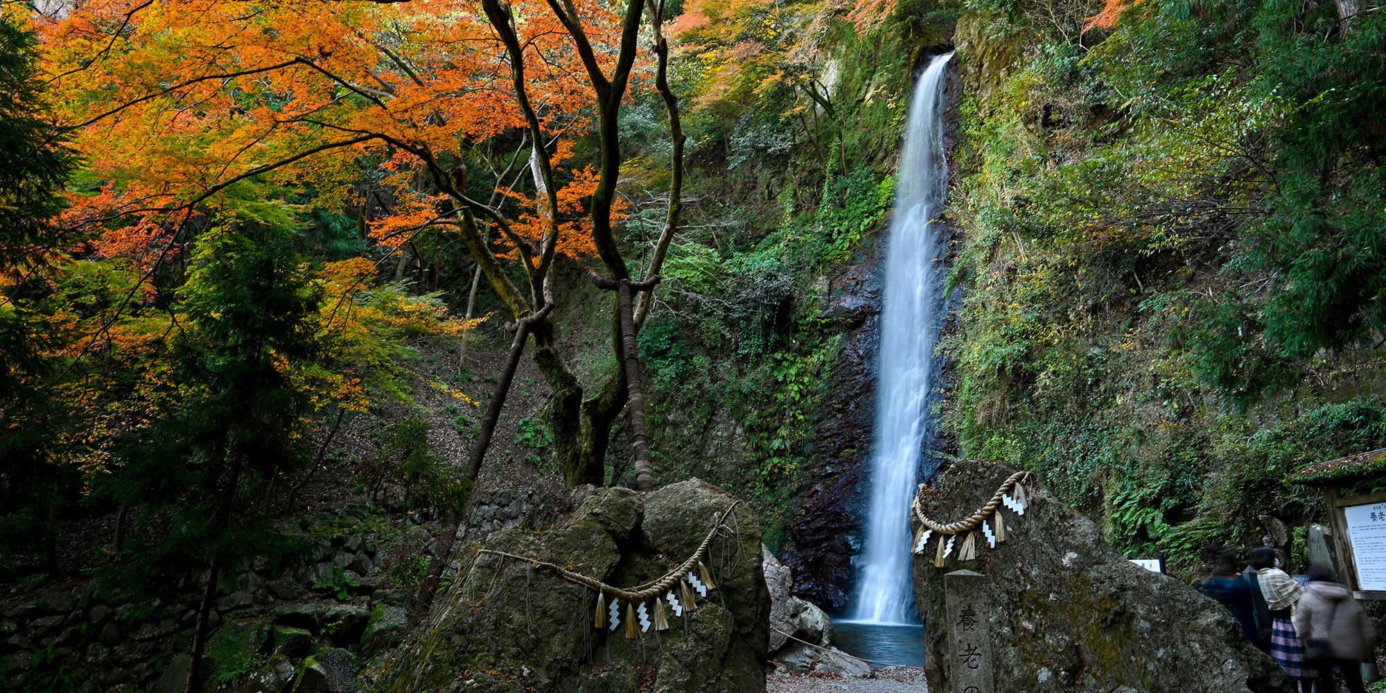 Gifu Yoro Park, a great spot for maple and cherry blossom viewing