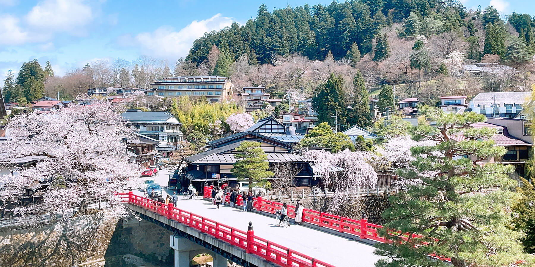 Cherry Blossom Spots in Takayama | Centrip JAPAN