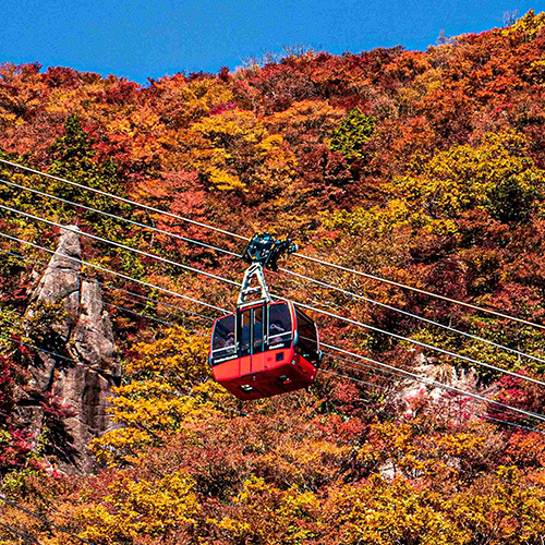 Discover the Delights of Gozaisho Ropeway and Nearby Attractions in Mie Prefecture in Just a Day